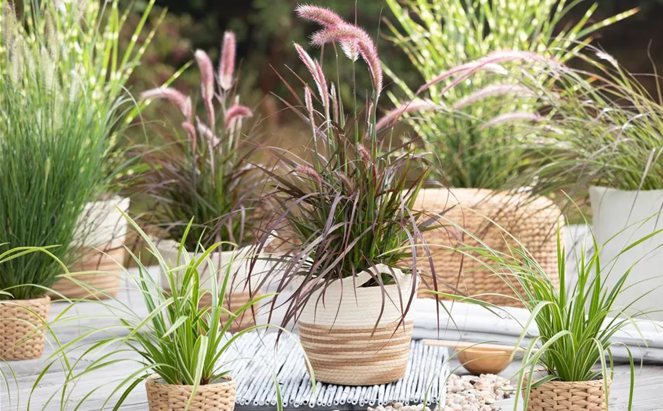 Aussen - Pflanzegefäße für den Garten!