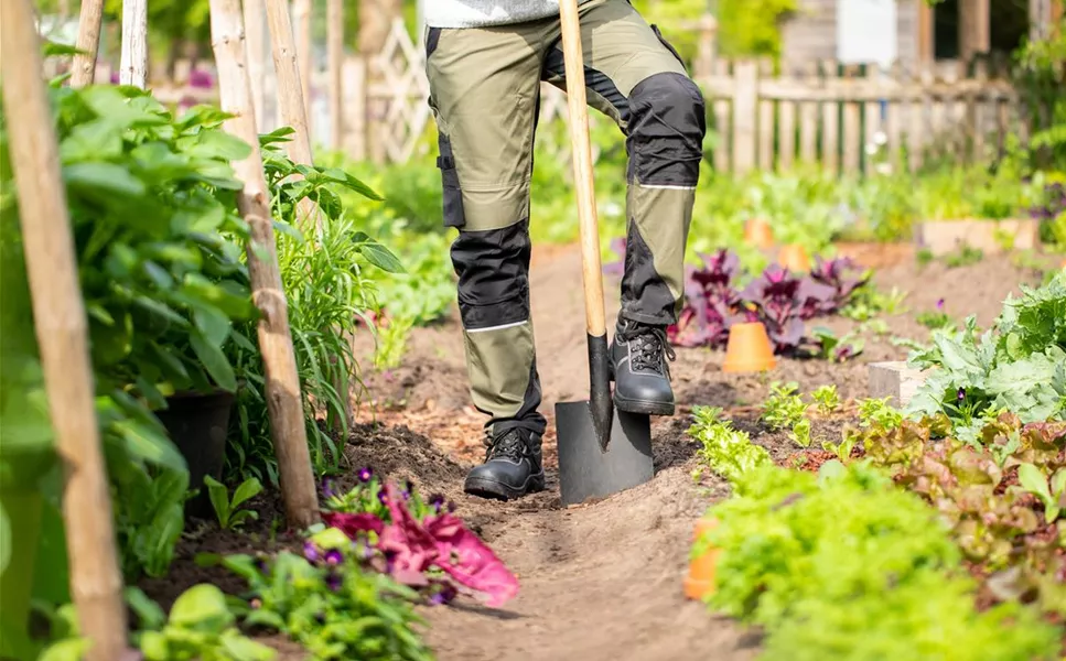 Unsere Stellenangebote - Stellenangebot