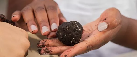 SAMENBOMBEN - BLüHENDE üBERRASCHUNG IM GARTEN
