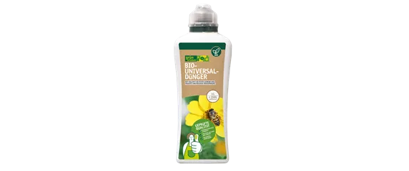 MEDITERRANE KüBELPFLANZEN! 