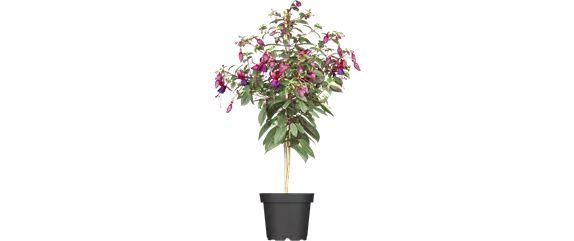 BLüHENDES MAKE OVER! 