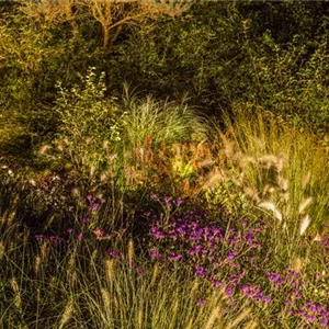 LICHTQUELLEN MACHEN DEN GARTEN SCHöNER! LICHTQUELLEN MACHEN DEN GARTEN SCHöNER!