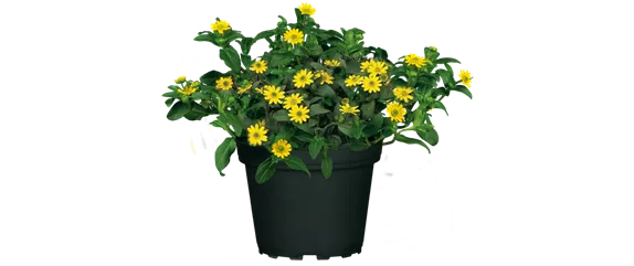 BLüHENDES MAKE OVER! 