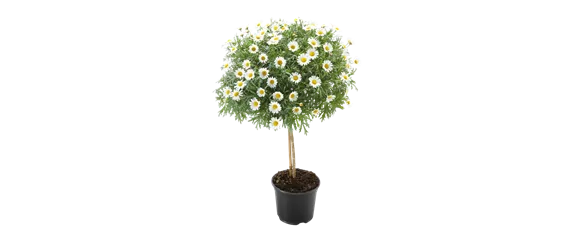 BLüHENDES MAKE OVER! 