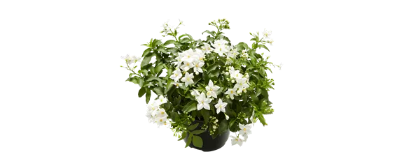 BLüHENDES MAKE OVER! 