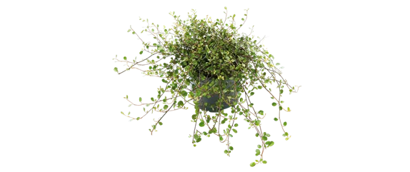 BLüHENDES MAKE OVER! 