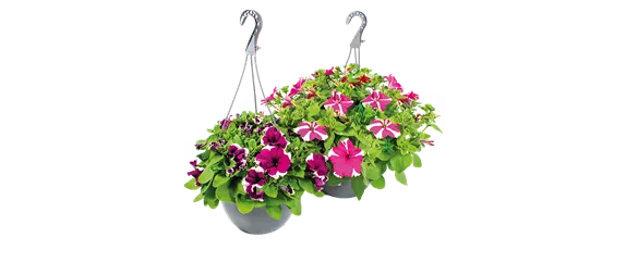 BLüHENDES MAKE OVER! 