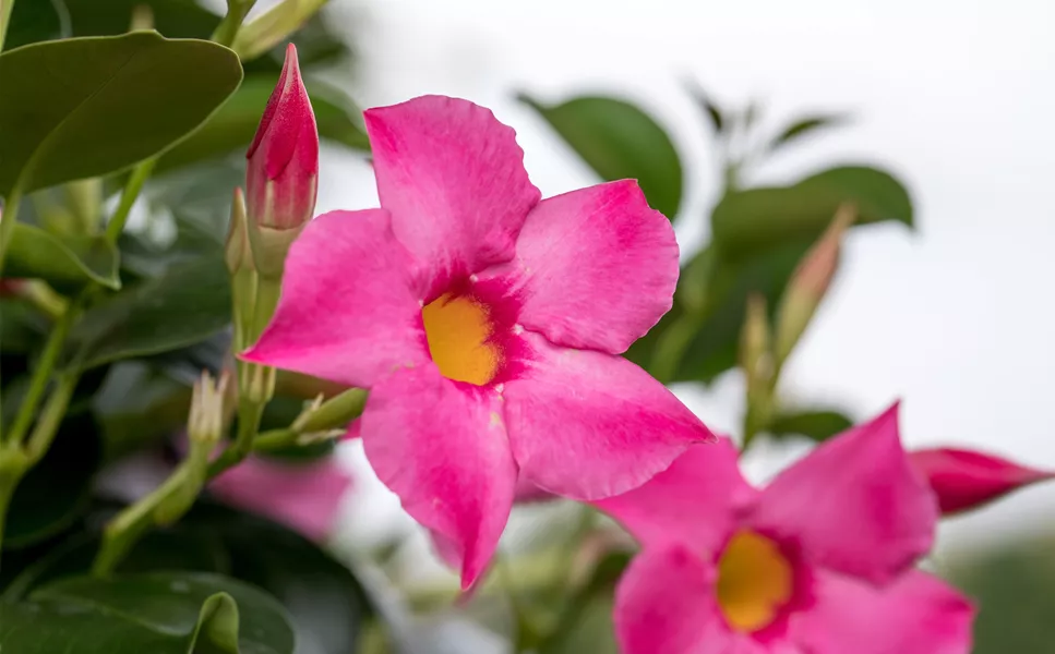 Willkommen-Sommer! - Unser aktuelles Prospekt