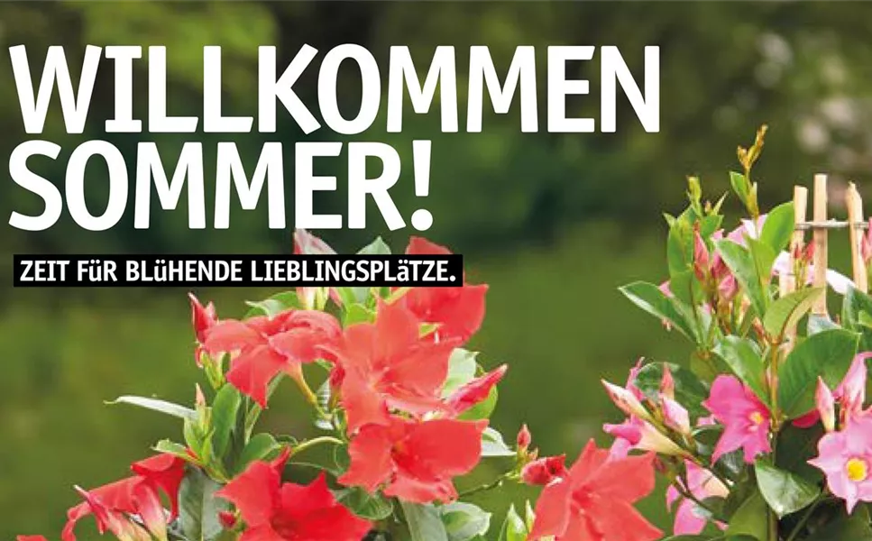 Willkommen-Sommer! - Unser aktuelles Prospekt