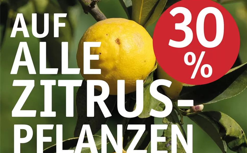 HITZEWELLE vorbei! - Wir sind wieder wie gewohnt von Montag bis Samstag von 9-18Uhr für Euch da.